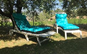 Guesthouse Du Moulin